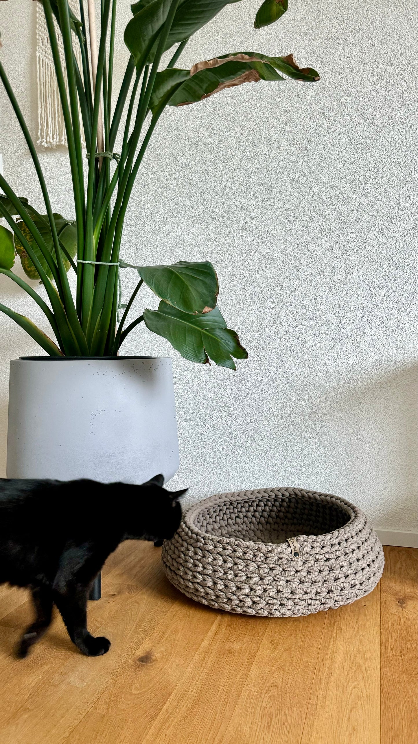 Katzen- & Hundebett